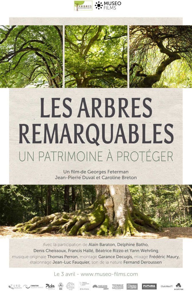 Les Arbres Remarquables