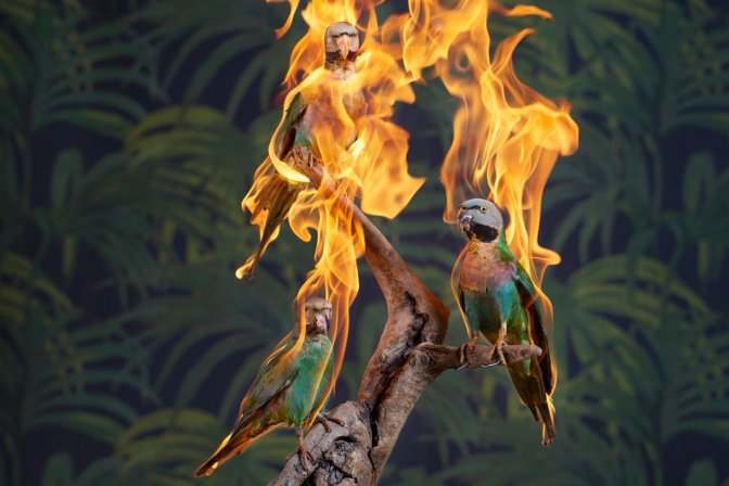 Christian Houge, Residence of Impermanence