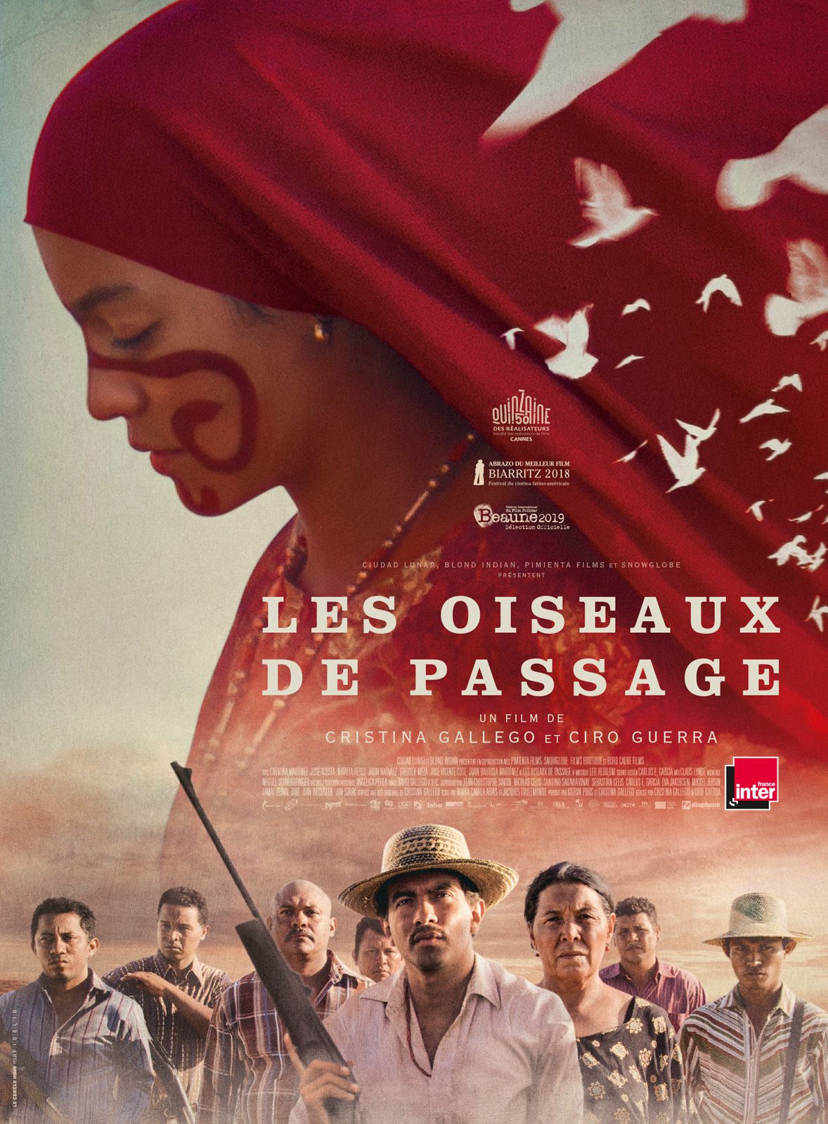 Les oiseaux de passage