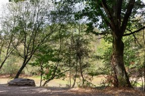 Têtes de bois #09