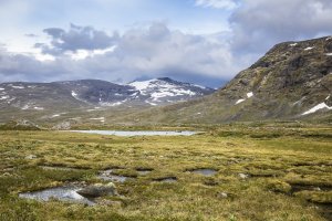 Jotunheimen