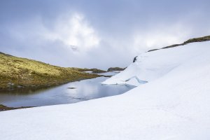 Bjørgavegen #03