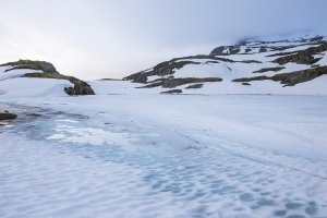 Bjørgavegen #04