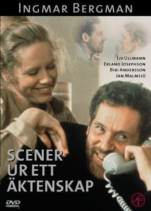 Scènes de la vie conjugale (Série)